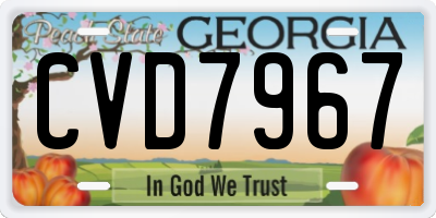 GA license plate CVD7967