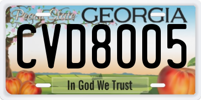GA license plate CVD8005