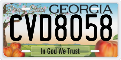 GA license plate CVD8058