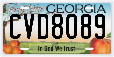 GA license plate CVD8089
