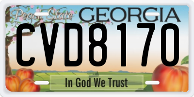 GA license plate CVD8170