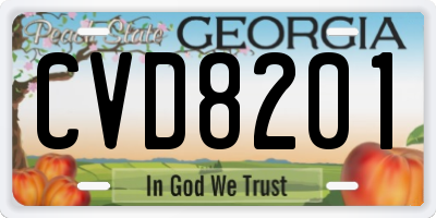 GA license plate CVD8201