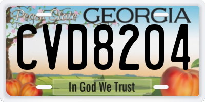 GA license plate CVD8204