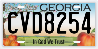 GA license plate CVD8254