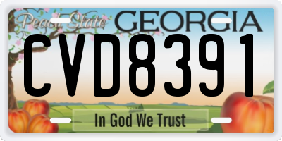 GA license plate CVD8391