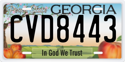 GA license plate CVD8443