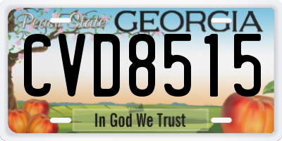 GA license plate CVD8515