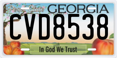 GA license plate CVD8538