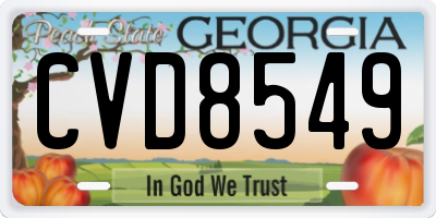 GA license plate CVD8549