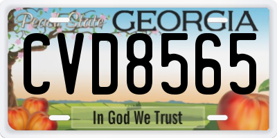 GA license plate CVD8565