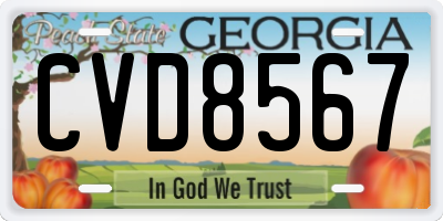 GA license plate CVD8567