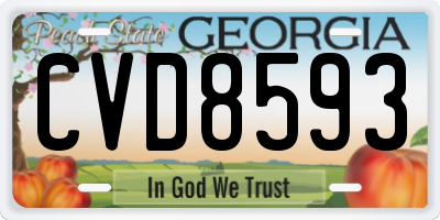GA license plate CVD8593