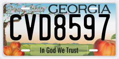 GA license plate CVD8597