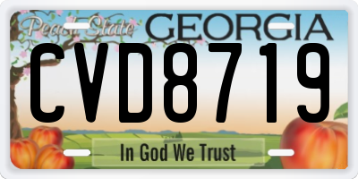 GA license plate CVD8719