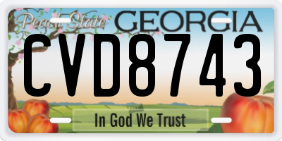 GA license plate CVD8743