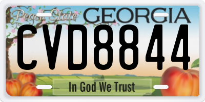 GA license plate CVD8844