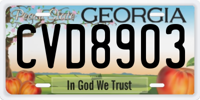 GA license plate CVD8903