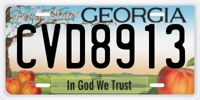 GA license plate CVD8913