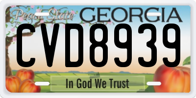 GA license plate CVD8939