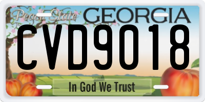 GA license plate CVD9018