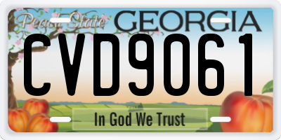 GA license plate CVD9061