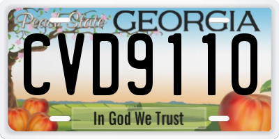 GA license plate CVD9110