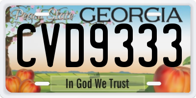 GA license plate CVD9333