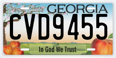 GA license plate CVD9455