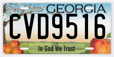 GA license plate CVD9516
