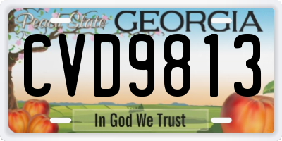 GA license plate CVD9813