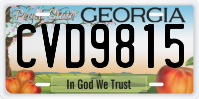 GA license plate CVD9815