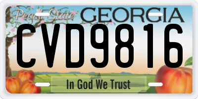 GA license plate CVD9816