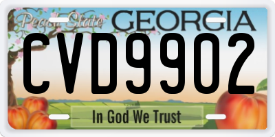 GA license plate CVD9902