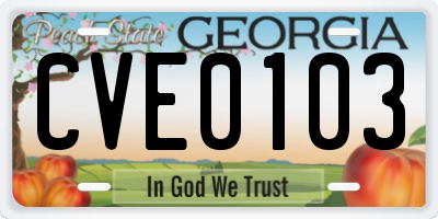 GA license plate CVE0103