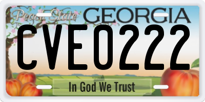 GA license plate CVE0222