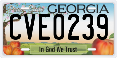 GA license plate CVE0239