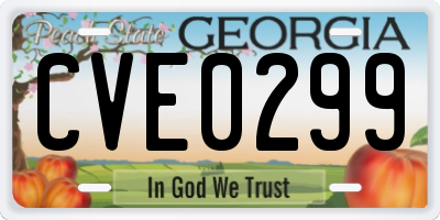 GA license plate CVE0299