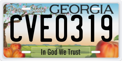 GA license plate CVE0319