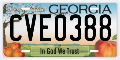 GA license plate CVE0388
