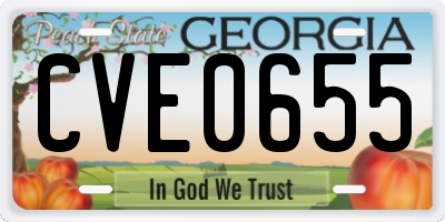 GA license plate CVE0655