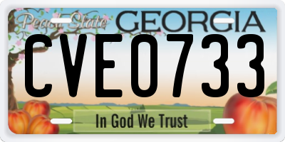 GA license plate CVE0733