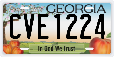 GA license plate CVE1224