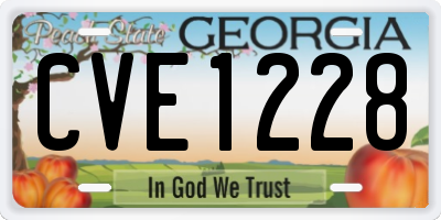 GA license plate CVE1228