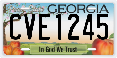 GA license plate CVE1245