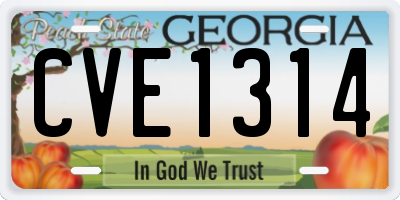 GA license plate CVE1314
