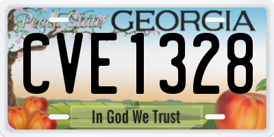GA license plate CVE1328