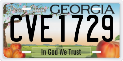 GA license plate CVE1729