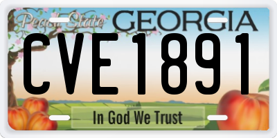 GA license plate CVE1891