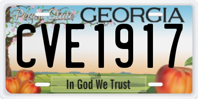 GA license plate CVE1917