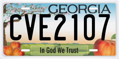 GA license plate CVE2107